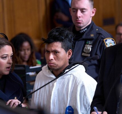 Sebastian Zapeta F Train Nyc Arraignment 03.jpg