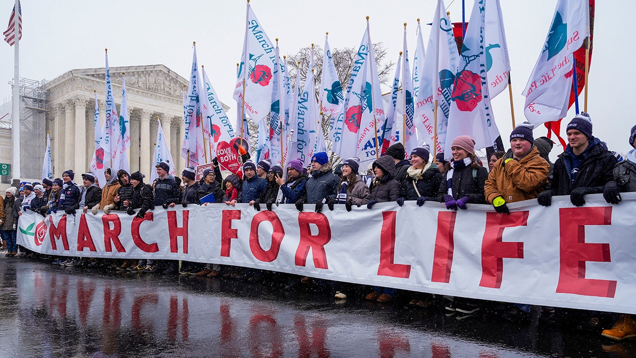 March For Life 1.jpg