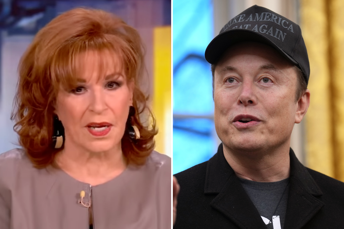 Joy Behar And Elon Musk.png